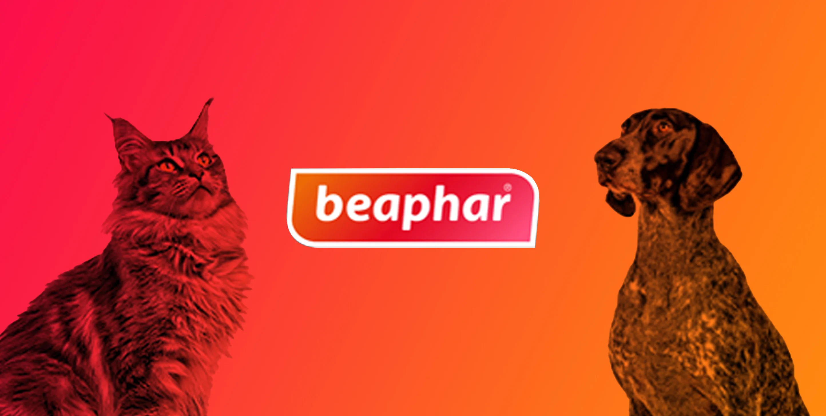 Hafo Banner Image