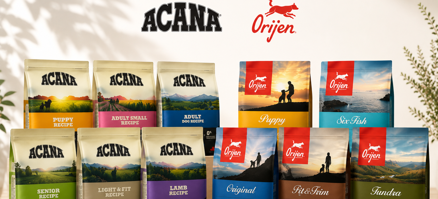 Hafo Banner Image